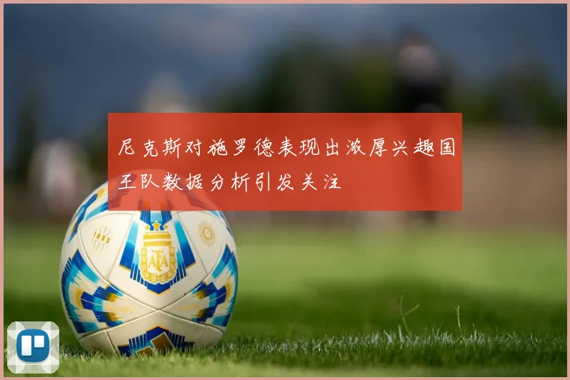 尼克斯对施罗德表现出浓厚兴趣国王队数据分析引发关注