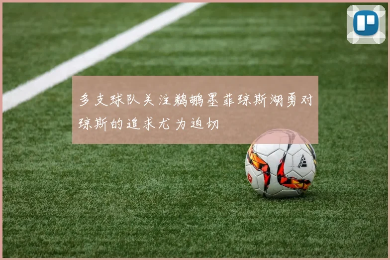 多支球队关注鹈鹕墨菲琼斯湖勇对琼斯的追求尤为迫切