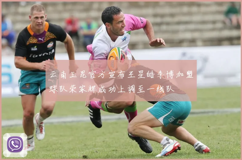 云南玉昆官方宣布王星皓李博加盟球队荣家辉成功上调至一线队